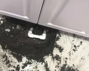 芒康查漏水哪家好